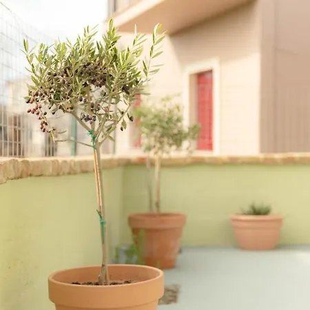 Apartment Casa Katerina *